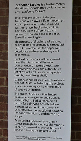 Description of the "Extinction Studies" project (see previous photo)