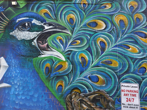 Street art in downtown Hobart
