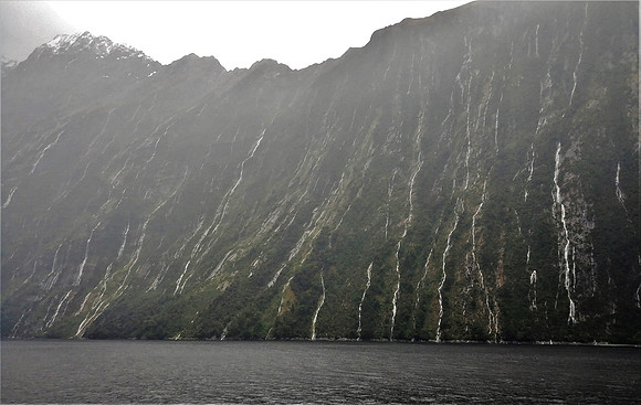 Mountains climbing up from the water in Milford Sound