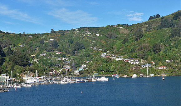 Port Chalmers from the bay