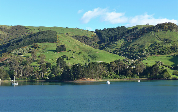 Entering the harbour in Port Chalmers