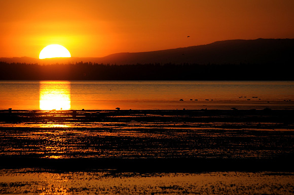 The sun sets on the 2010 Winter Olympics