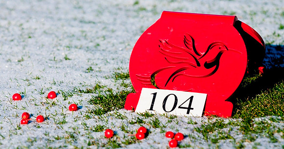 Number 11