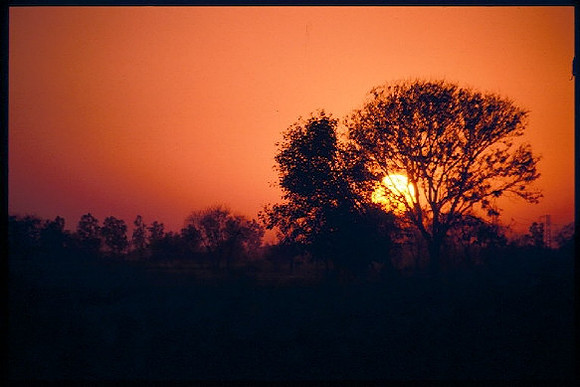 Sunset in Sangrur