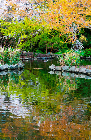Beacon Hill Park