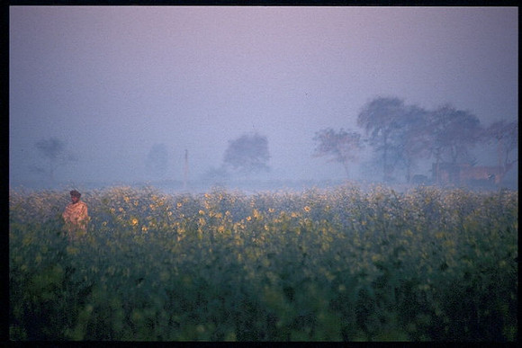 Sunrise over the farm