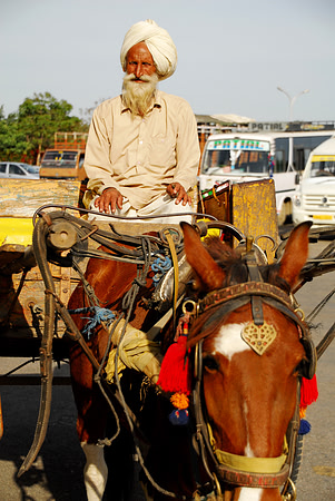 Buggy Ride